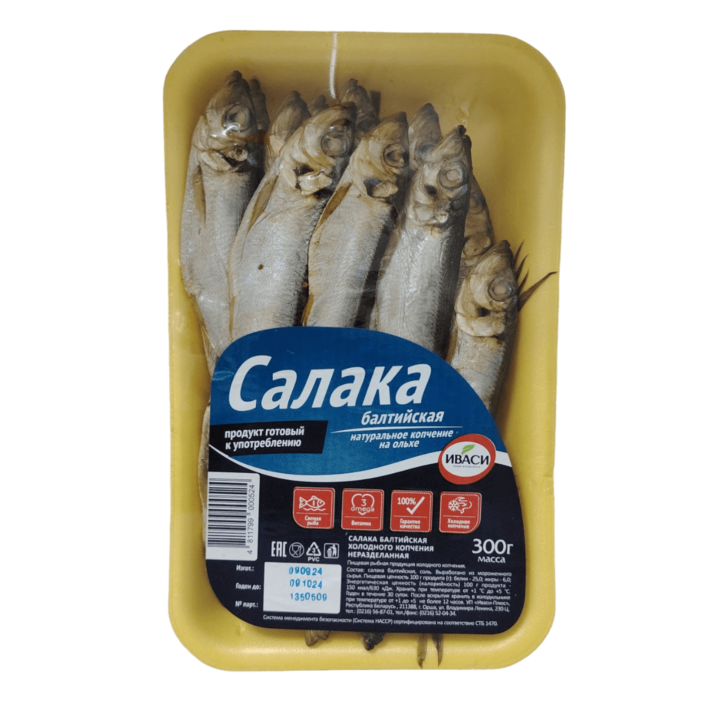 Салака балтийская х/к