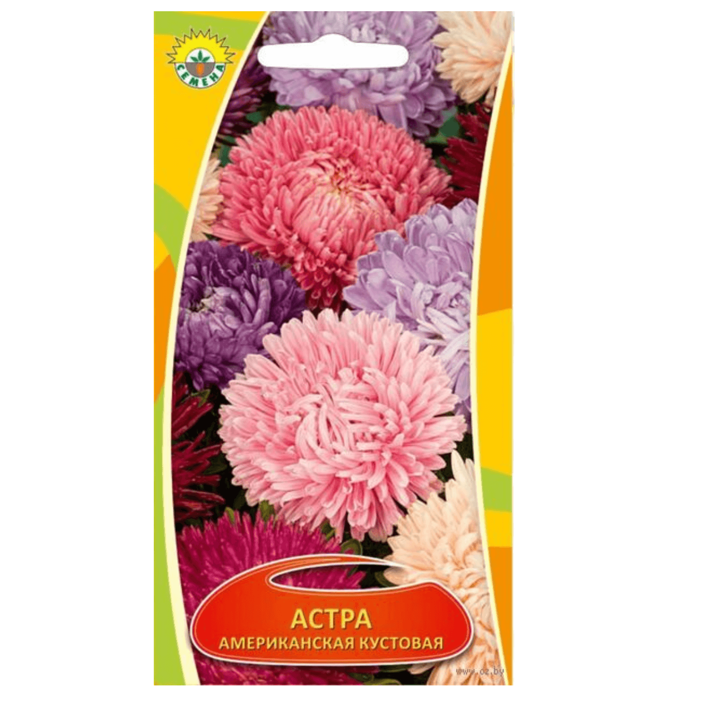 Семена астра «Американская» кустовая 0,2г
