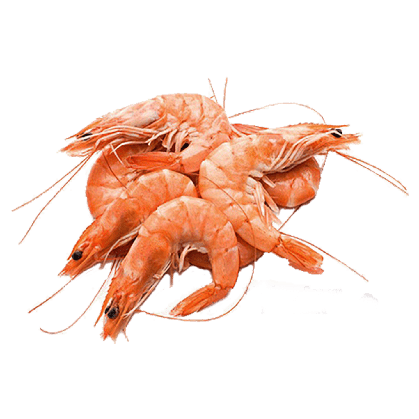 Свежемороженые морепродукты