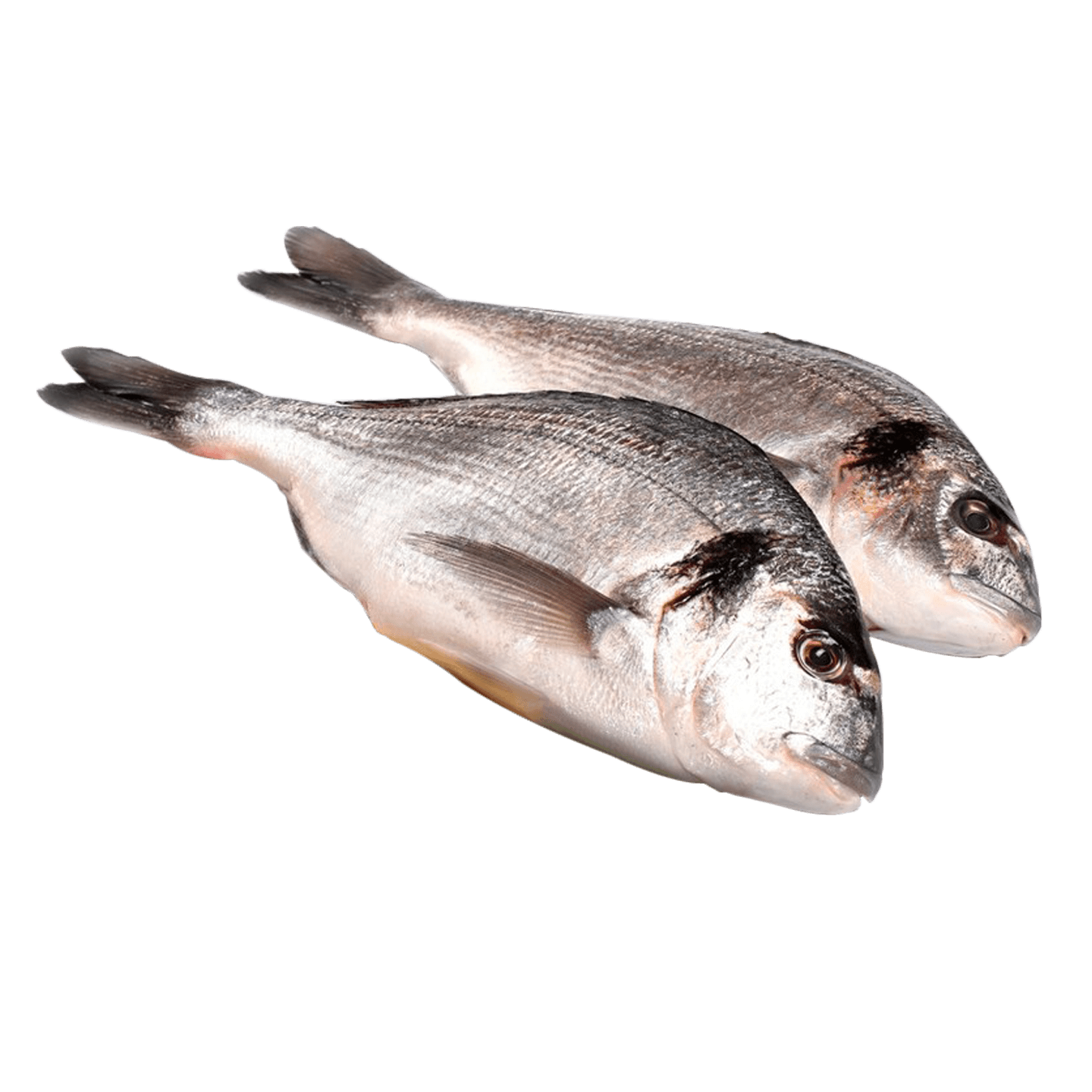 Рыба