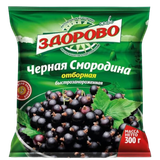 Черная смородина «Живи здорово»