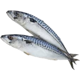 Скумбрия св/м 400-600 