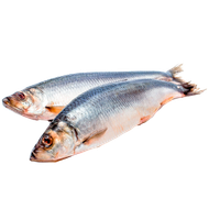 Сельдь атлантическая крупная н/р 400+ - Мир Продуктов №3