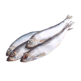 Салака балтийская мороженая 