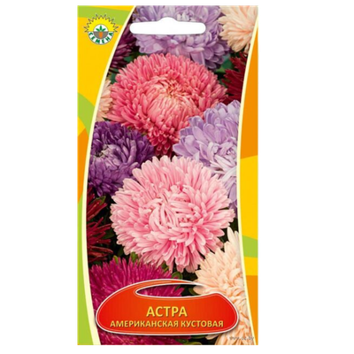 Семена астра «Американская» кустовая 0,2г
