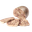 Зельцы, сальтисоны