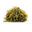 Морская капуста 