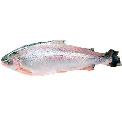 Форель радужная не потрошеная с головой мороженая