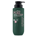 Шампунь «Professional Hair Care NEW» POST-уход для окрашенных волос