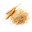 Крупа Булгур, киноа