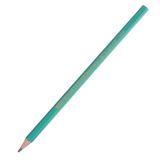 Карандаш чернографитный BIC "Эволюшн" без ластика, HB