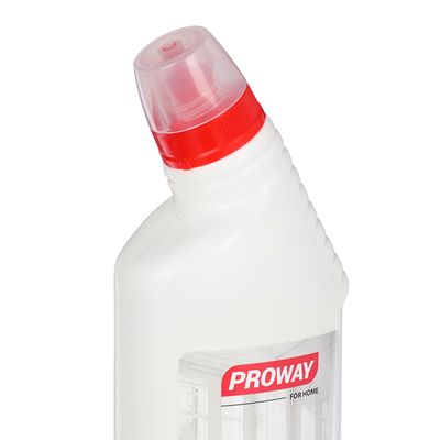 Средство PROWAY  санитарно-гигиеническое универсальное 10в1
