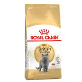 Корм сухой «Royal Canin» British Shorthair Adult сбалансированный для взрослых британских короткошерстных кошек