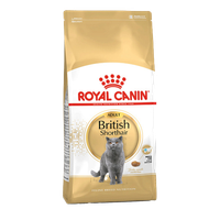 Корм сухой «Royal Canin» British Shorthair Adult сбалансированный для взрослых британских короткошерстных кошек - Зооточка