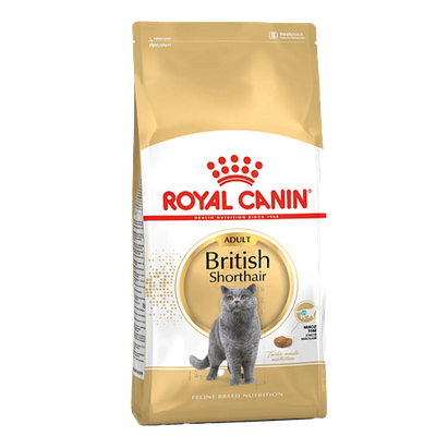 Корм сухой «Royal Canin» British Shorthair Adult сбалансированный для взрослых британских короткошерстных кошек
