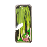 Лук репчатый «Веселый огородник» - Мир Продуктов №3