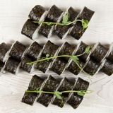 Сет Маки