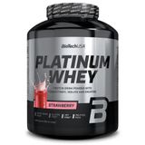 Протеин PLATINUM + Creatine, BioTechUSA, КЛУБНИКА, 2000 г 