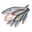 Рыба свежемороженая