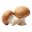 Грибы