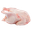 Птица 